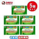 楽天DREUドラッグストア【お得な5個セット！】恵命我神散S細粒　120包【第2類医薬品】 恵命我神散S　恵命我神散　ケイメイガシンサン