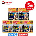 楽天DREUドラッグストア【1日限定3％OFF!!】【お得な5個セット】ダイハップZXテープ　21枚　大石膏盛堂　【第二類医薬品】