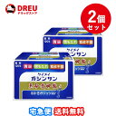 楽天DREUドラッグストア【お買い物マラソン当店限定ポイントUP!!】【お得な2個セット！・送料無料！】恵命堂 恵命我神散S 3g×120包 【第2類医薬品】 恵命我神散S　恵命我神散　ケイメイガシンサン