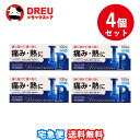 【マラソン期間ポイントアップ】【月間優良ショップ】【送料無料 4個セット】プレミナスIP 100錠【指定第2類医薬品】【奥田製薬】