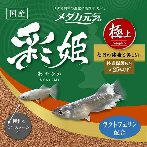 【同梱不可】メダカ元気　彩姫　極上 100g