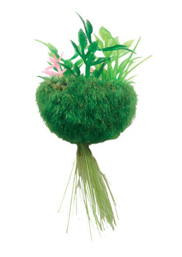 【同梱不可】【24個セット】 株式会社マルカン(ニッソー) NAPー574 テーブルアクア 浮かべる癒し苔玉 貳(ニ)