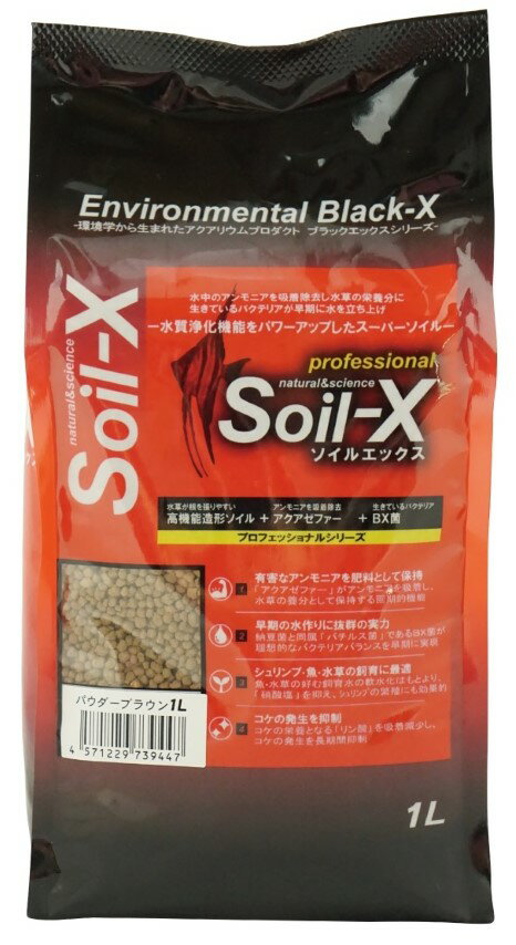 ��Ʊ���Բġۡ�12�ĥ��åȡ�B-blast �����륨�å��� �ѥ����� �֥饦��1L