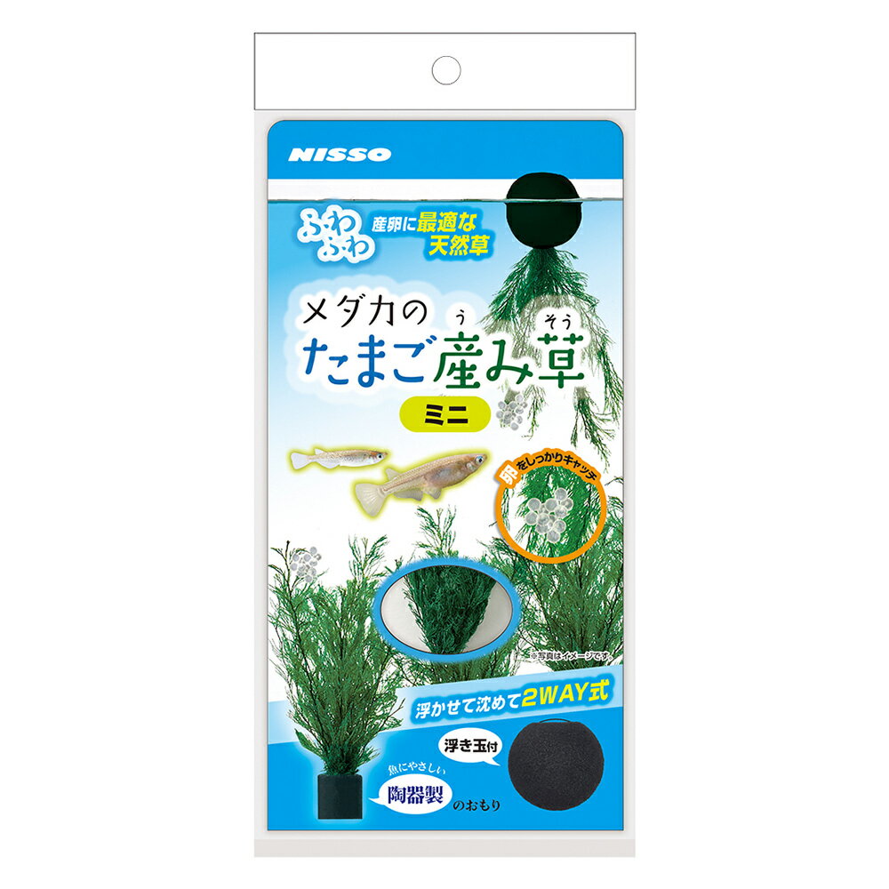 【同梱不可】 株式会社マルカン(ニッソー) メダカのたまご産み草ミニ