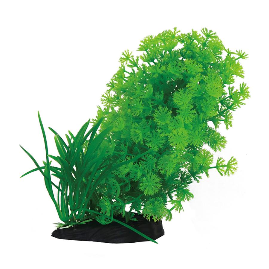 ��Ʊ���Բġۡ�12�ĥ��åȡۼ����ݳ������ PON-�ʤ���ߥå���C