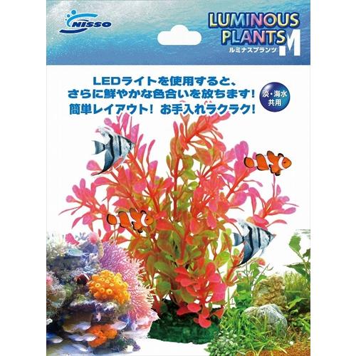 【同梱不可】【12個セット】マルカン NAP‐194 ルミナスプランツM‐1