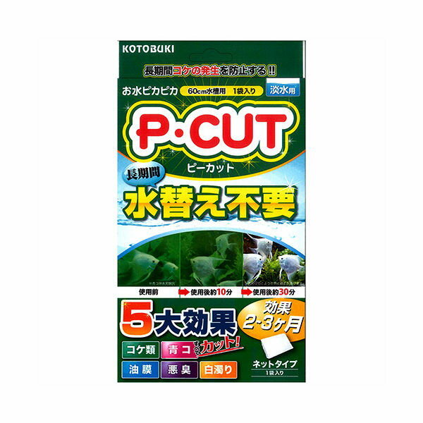 ��Ʊ���Բġۡ�10�ĥ��åȡۼ����ݳ������ P�����åȥͥå�60