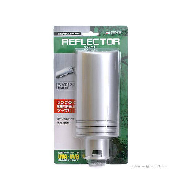 ��Ʊ���Բġۡ�12�ĥ��åȡۿ�Ȫ�ܵ� ��ե쥯����