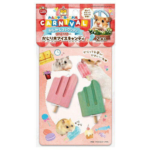 【同梱不可】 株式会社マルカン ハムスターカーニバル かじり木アイスキャンディ2本