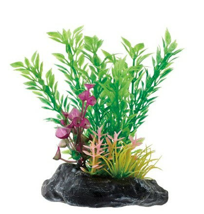 【注意事項】 ・メーカーの都合等により、パッケージ及び内容量、生産地、などが変更される場合がございます。ご了承ください。 ・当店では地球環境への配慮およびお手頃価格での商品の提供のため、簡易的な梱包とさせていただいております。 ・箱潰れなど、製品をご利用いただくのに問題がない場合の返品・交換対応はお受けできません ※期限のある商品について ・賞味期限や消費期限がある商品については、すべて期限まで2ヶ月以上のものを取り扱っております。個別のお問い合わせはご遠慮いただきますようお願い申し上げます。 ・期限が迫った商品は、別途アウトレット商品として販売させていただいております。 商品説明■　商品詳細 小型水槽に入れるだけで手軽に水草レイアウトが楽しめます。 ・プランツは小魚、稚魚のかくれがに最適です。 4975637512812■　原産国中国■　メーカー株式会社マルカン(ニッソー)■　広告文責 ライフジェネレーション株式会社 TEL:06-6809-2484　