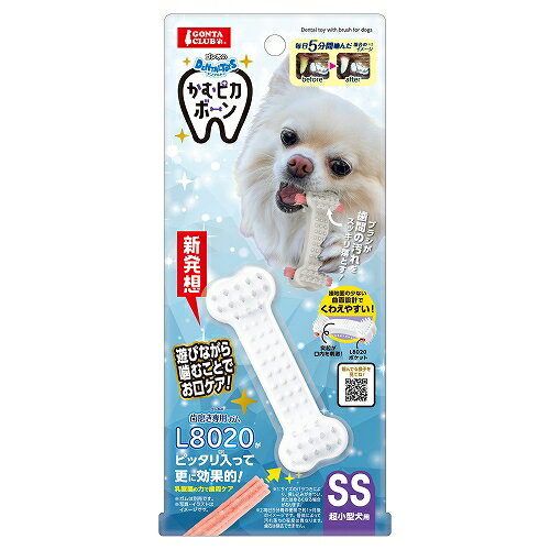 【同梱不可】【3個セット】 マルカン ゴン太のデンタルトイ　かむピカボーンSS