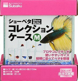 ��Ʊ���Բġۡ�2�ĥ��åȡ� ��� ���硼�٥����쥯����󥱡���M