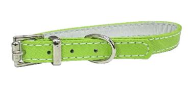 【同梱不可】マイスターWレザーカラー10Lライム