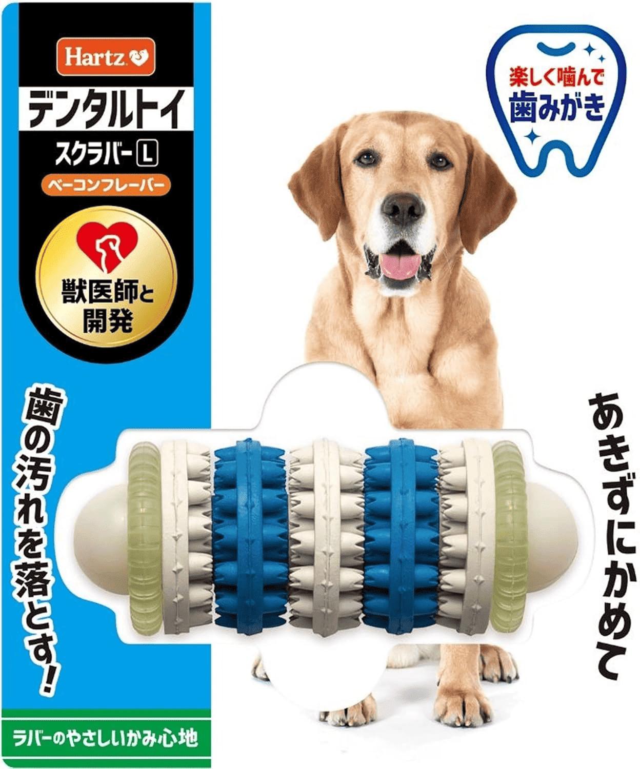 �������������󥿡��ʥ���ʥ������� ��Ʊ���Բġۡ�6�ĥ��åȡۥϡ��� ���塼�ǥ�ȡ����ߤ���������㡡������С� L