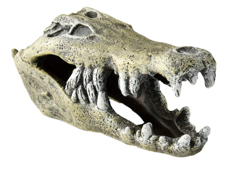 �ڥåȥ饤�֥�꡼ ��Ʊ���Բġۡ�6�ĥ��åȡ� aquaneru �������ꥦ�४���ʥ��ȡ�����ȡ������������� S