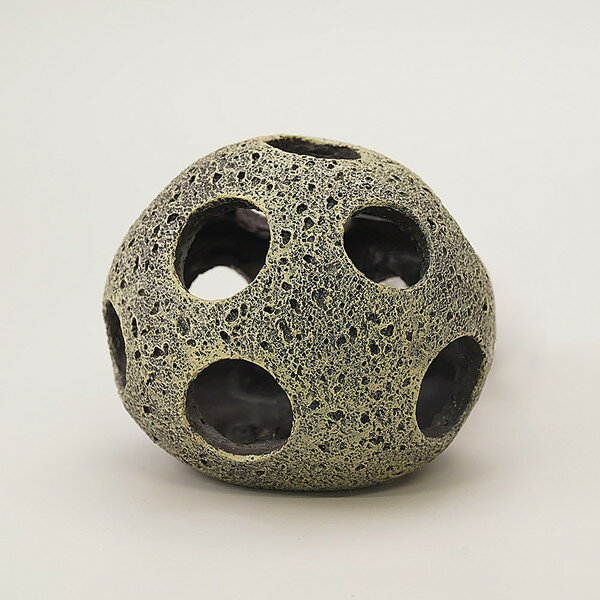 �ڥåȥ饤�֥�꡼ ��Ʊ���Բġۡ�2�ĥ��åȡ� aquaneru �������ꥦ�४���ʥ��ȡ����������å����ȡ���