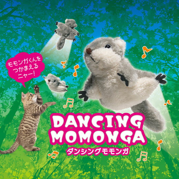 ���»��� ��Ʊ���Բġۡ�2�ĥ��åȡ۳��»��� ���󥷥󥰥���