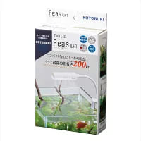 �����ݳ������ ��Ʊ���Բġۡ�12�ĥ��åȡ� �ߥ�LED���ԡ������ۥ磻��