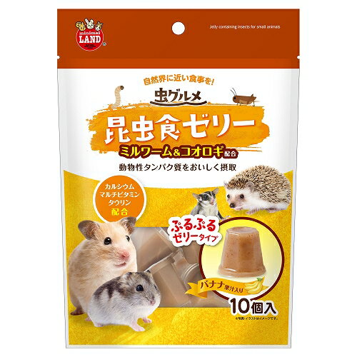 【同梱不可】【5個セット】虫グルメ　昆虫食ゼリー 10個