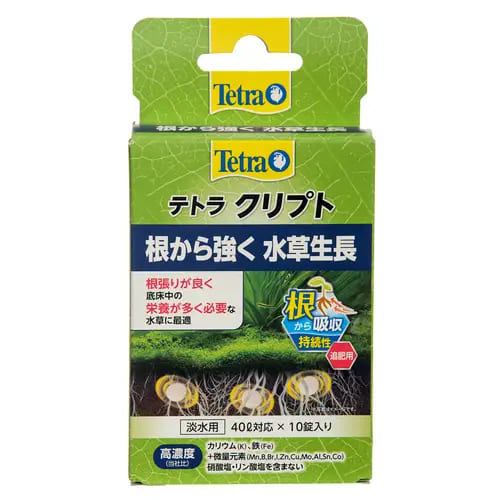 【同梱不可】【3個セット】スペクトラムブランズジャパン テトラ　クリプト 10錠