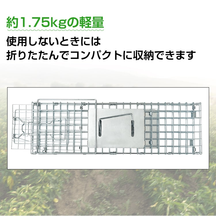 捕獲器 踏み板式 折りたたみ収納 ガード付き 害獣駆除 害獣対策 庭 畑 農業 家庭菜園