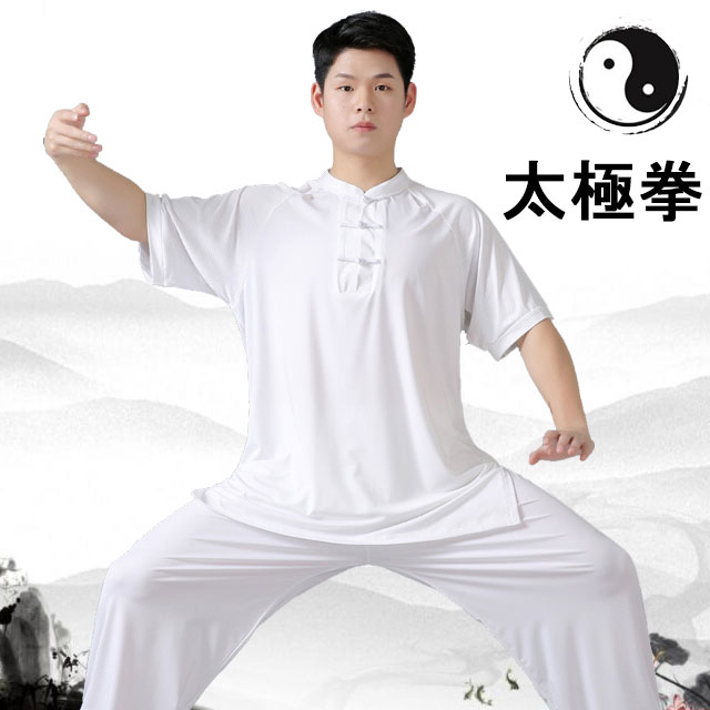 lifeactiveの太極拳 半袖 tシャツ メッシュ 太極拳ウェア 太極拳服 チャイナカラー スリット入り カンフー服 練習着 表演服 スポーツウェア｜アングル3