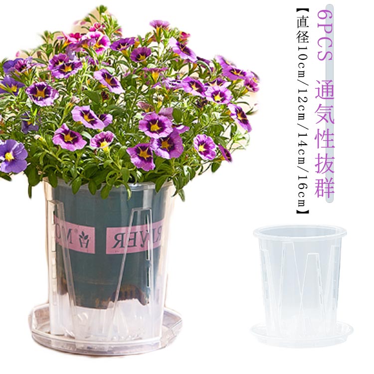 乐天商城 - 透明 オーキッドポット 植木鉢 直径10cm 12cm 胡蝶蘭の植え替え 14cm 16cm 胡蝶蘭 鉢 蘭鉢 排水穴付き 6鉢セット 根腐れ防止 育苗ポット プラスチック 通気性 クリア 受皿付き