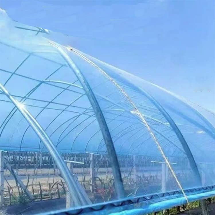 厚み0.14mm 農業用ビニール 屋根ビニール ビニールハウス ハウスビニール 幅6m 園...