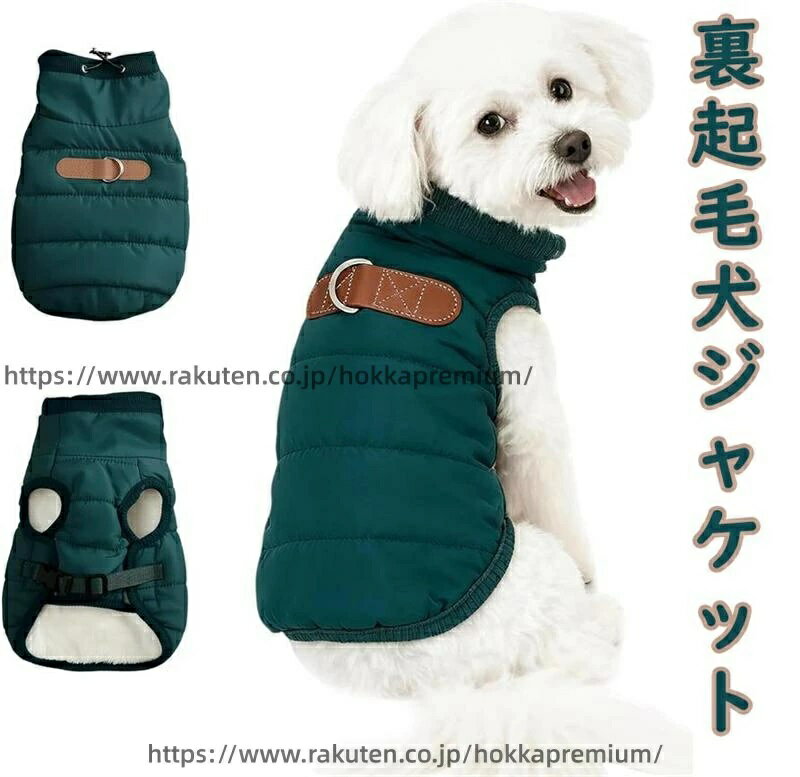 �� ���Ф��� �� �淿���б� �դ�դ� µ�ʤ� ���� ���� ���� ΢���� D����դ� ���㥱�å� �淿�� �ɴ�/���� �����ȥɥ� ��æ��ñ ���� ��