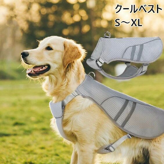 S��XL �䴶���� ���� ��ѥ٥��� ���Ƥ��ɤ� Ǯ����к� ���Ф��� �̵��� ������ �Ҥ���٥��� ���ѥ�����٥��� ������٥��� ���Ѳ��� ��ѥ����� ��...