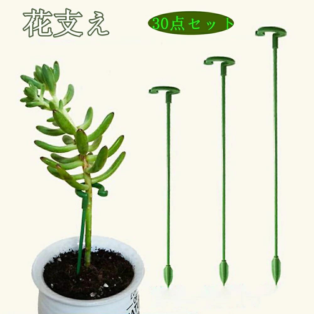 ガーデニング 植物サポート 農業用 観葉植物トレリス 園芸用 園芸支柱 支柱 観葉支柱 花ささえ 支柱棚 27cm 誘引 フラワー支柱 37cm 17cm 【30点セット】【3サイズ】花支え
