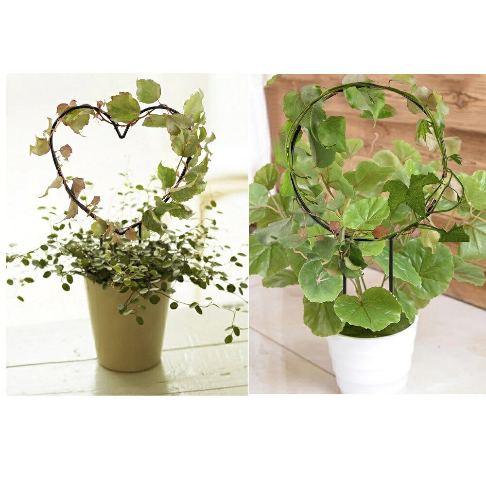 ガーデニング用品 つる性植物 庭 送料無料 花支え 誘引 植物支柱 花支柱 園芸