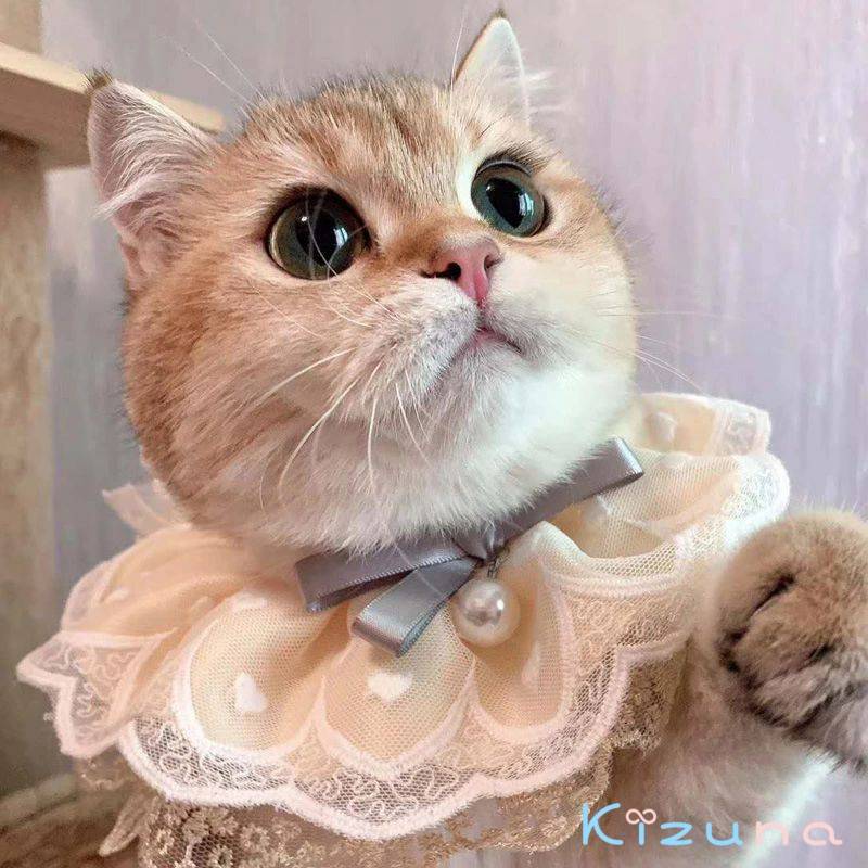 着せ替え コスチューム 変身グッズ L リボン ペットの服 猫 撮影道具 首輪 ネコ コスプレ衣装 柔らかい 通気性 猫服 写真 おしゃれ パール ペット用品 マフラー 犬 簡単装着 可愛い 面白い