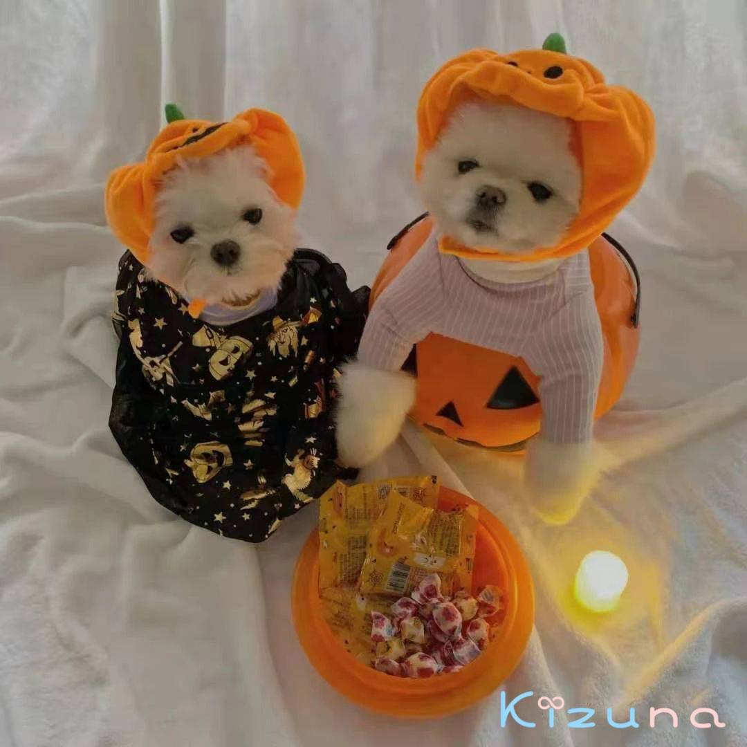 可愛い 着ぐるみ 小中型犬 Halloween 犬猫ハット ジャックランタン ペット帽子 ペット帽子 ハロウィン ドッグウェア ジャックランタン帽子 着脱簡単 ペット用コスプレ カボチャ ペット用コスプレ ペット服 防寒 犬 猫 キュート 暖かい