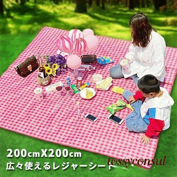 �ɿ� ���å���� ���ե� �礭�� ������� ���� �ԥ��˥å������� �ץ쥼��� 200��200cm ����ѥ��� �쥸�㡼������ ���� ��Ƚ 4��~8�� ������ ...