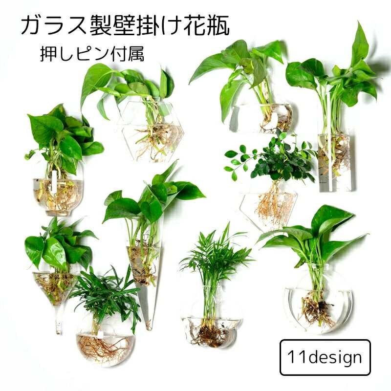 樂天商城 - 壁掛け花瓶 花瓶 ガラス 吊り下げ 壁掛け 植木鉢 円形 花形 三角形 フラワーベース 一輪挿し 水耕栽培 個性的 おしゃれ インテリア 涼しげ