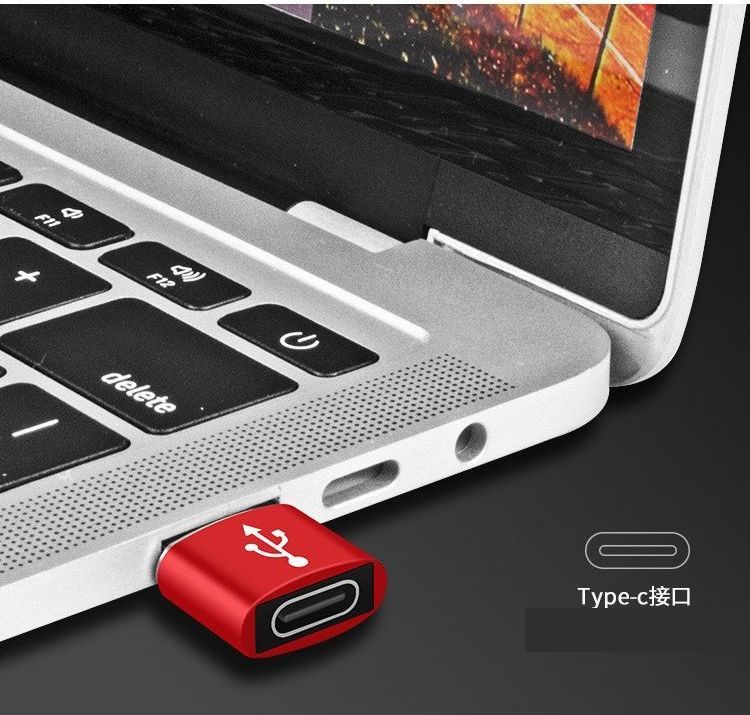 USBオス TYPE-C USB 変換アダプター 小型変換アダプター 変換コネクター データ転送 小型 シンプル TYPE-Cメス 2