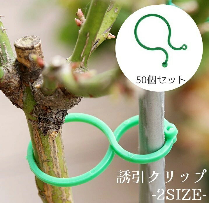 植物のつるや茎を固定する50個入りの誘引クリップ。 支柱や添え木なども留められます。 小と大の2つのサイズをお選びいただけます。 【サイズについて】 画像をご参照ください。 【カラーについて】 生産ロットにより柄の出方や色の濃淡が異なる場合がございます。 お使いのモニターや撮影時の光の加減などにより 画像と実際の商品のカラーが異なる場合もございます。 予告なしにカラーやデザインなどの変更がある場合もございます。 【素材について】 プラスチック
