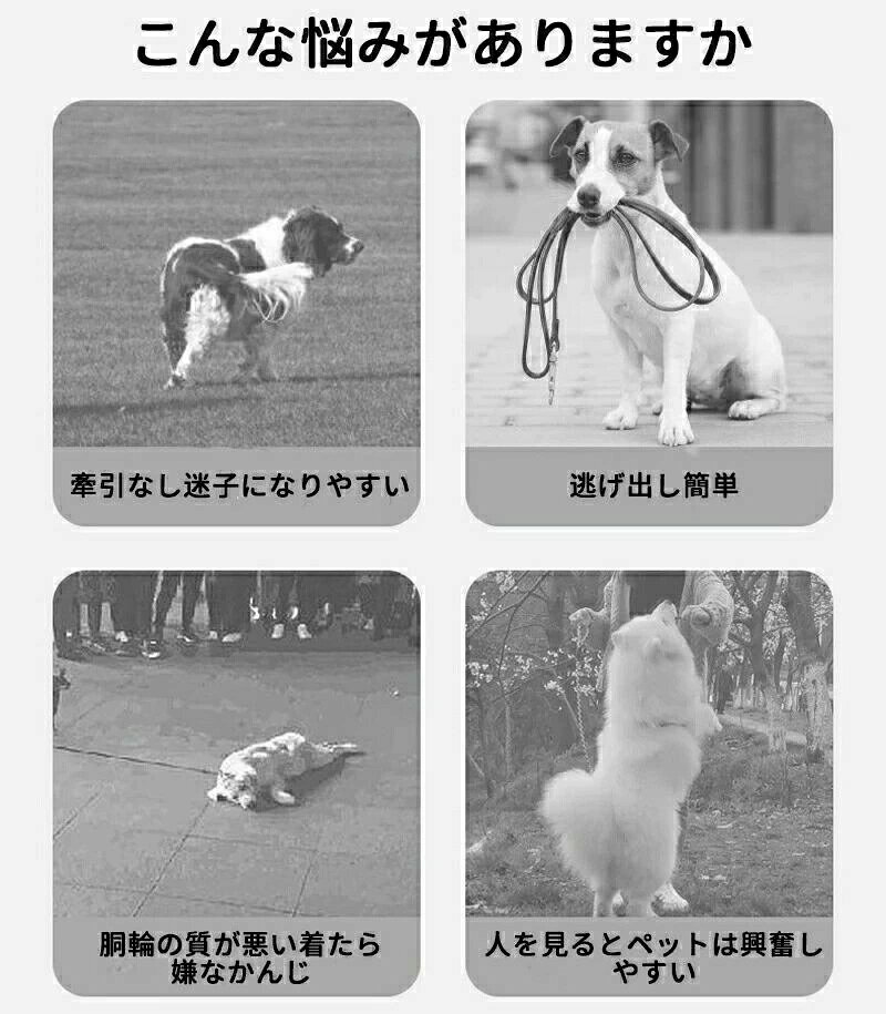 散歩 ロック 愛猫 胴輪 猫犬兼用小型犬 かわいい 介護 リード はーねす イヌ おし...