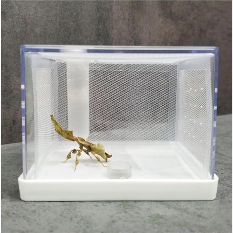 乐天商城 - カマキリ専用飼育箱 カマキリ専用ののぼりネットと加湿チューブ付き 保湿力と通気性の良さ(他の昆虫には適しませ アクリルカマキリかご