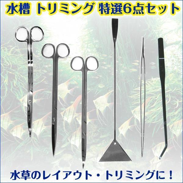 楽天市場】ada 水草 ピンセットの通販