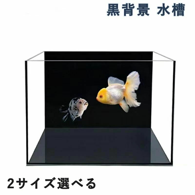 ベタ水槽 リビング用 黒背景 おしゃれ ブラック 熱帯魚 クリアガラス 小型 金魚 アクアリウム フレームレス水槽 飼育用ベタ クリアガラス ベタ専用設計