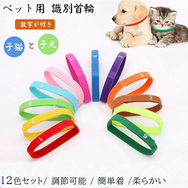 ▼商品説明▼S: 長さ:20cmM: 長さ:30cmL: 長さ:35cm・サイズか調節可能です。※:手作業で測定すると,誤差が出る可能性があります。キーワード:「S、M、L」12色セット ペット用 識別首輪 圈 超軽量 ペット用首輪 猫 子犬用首輪 調節可能 犬用バンド かわいい 軽い 簡単着脱 子犬識別 猫用首輪 ペット用品 おもちゃ飾り サイズ調整可能 可愛い 撮影用 高級感首輪 マジックテープ付き 保護用 子犬・子猫用識別カラー 12本セット ペット用首輪 安全バックル 猫犬通用 おしゃれ ペット用識別首輪 子猫 子犬用首輪 ダブルサイド柔軟の素材 パピー犬用首輪 子犬と子猫の識別 新生ペット犬猫用の調整可能 ペット用識別首輪 子猫 子犬用首輪 ダブルサイド柔軟の素材 パピー犬用首輪 12色セット 子犬&子猫の識別 調節可能 簡単着脱 子犬識別 マジックテープ付き 新生ペット犬猫用の調整可能簡単着脱 子犬識別 マジックテープ付き 新生ペット犬猫用の調整可能 ペット用識別首輪 子猫 子犬用首輪 12色セット ペット用識別首輪 子猫 子犬用 ダブルサイド柔軟の素材猫首輪 犬首輪 リボン かわいい首輪 猫くびわ 圈 超軽量 ペット用首輪 蝶ネクタイ かわいい 軽い 中小型 犬 猫用首輪 ペット用品 おもちゃ飾り 着脱便利 サイズ調整可能 可愛い 撮影用 高級感首輪 小型犬通用 サイズ調整 道具 安全バックル 撮影 道具 首輪 犬の首輪 おしゃれ かわいい 小型犬 中型犬 首輪 くびわ いぬ 犬 ペット用 ワンちゃん 首輪 犬用品 ペット用飾り おもちゃ飾り 着脱便利 おしゃれ サイズ調整可能 可愛い 撮影用 高級感首輪 小型犬通用 サイズ調整 道具 ペット飾り ペット用首輪 安全バックル 犬用首輪 おしゃれ 調整可能 痛くない サイズ調整 着脱簡単 安全 ペット首輪 安全バックル ペット飾り 高品質の素材 軽量 健康 人気 多機能 アウトドア ペット用識別首輪 子猫 子犬用首輪 ダブルサイド柔軟の素材 パピー犬用首輪 12色セット 子犬と子猫の識別 調節可能注意書き:モニターの発色具合によって実際のものと色が異なる場合があります。サイズなどは誤差があるかもしれません。12色セット ペット用 識別首輪 数字 猫用品 首輪 ハーネス 首輪 特集 Sサイズ Mサイズ Lサイズ