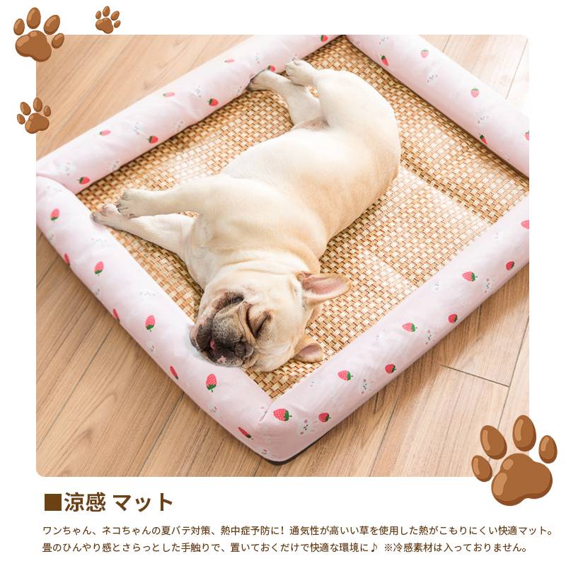 lifeactiveのポメラニアン 畳 和風 ペットベッド 猫 室内犬 夏バテ い草 たたみ 通気性 ペットベッド 猛暑 犬 エコ ペット 夏 猫用 ベッド 節電 暑さ おしゃれ 冷感 チワワ マット 座布団 ペットボード マット オシャレ ひんやり 犬用 対策｜アングル3