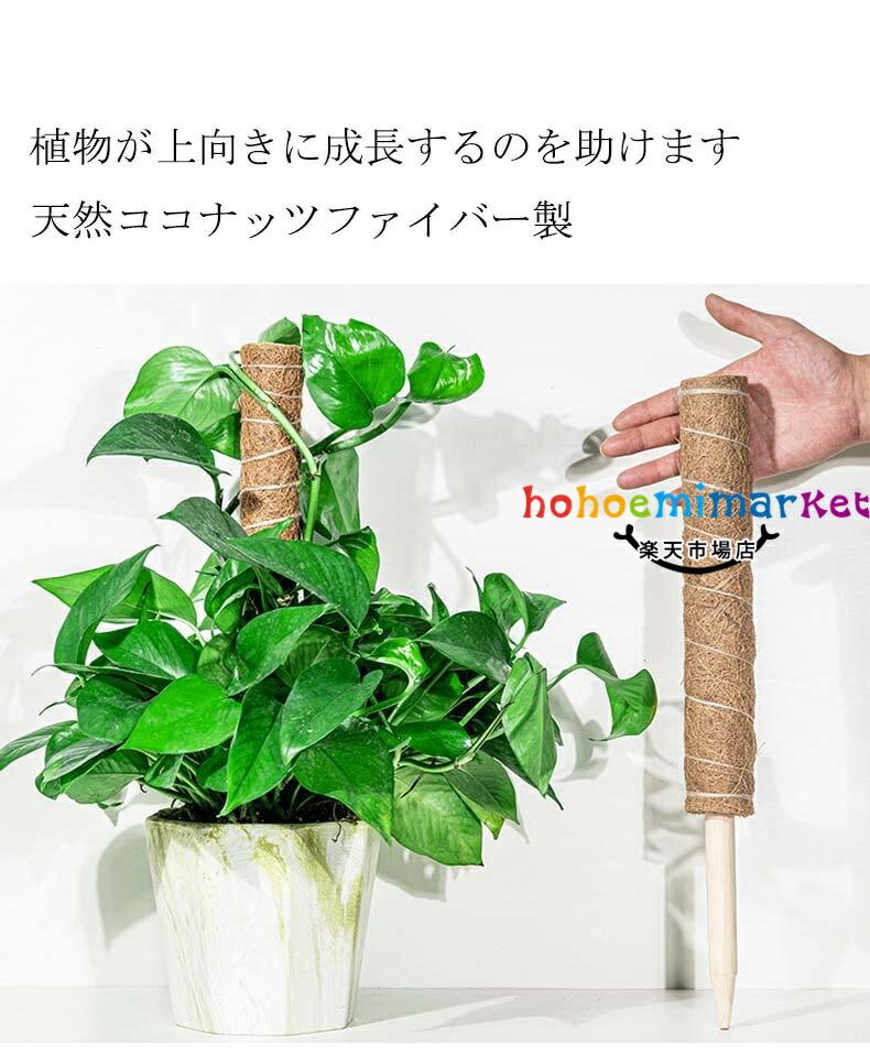 【商品番号】y758173【カラー】】写真色環境や植物に優しい天然の素材を使用した、家庭菜園やガーデニングなどでお使い頂ける園芸用の木製支柱3本セットです。植物の健康な成長を助長し、植物の集まり、空気を通さない、および光を通さないなどの問題を軽減するために使用することができます。バラ、シャクヤク、ユリ、ヒマワリ、トマトなどの植物に適しています。植物支柱の下の部分は、土に差し込みやすく、植物の根系を傷つけない木製の先端で設計されています。※ 平置き素人採寸ですので多少の誤差はご容赦下さい。※ モニタ環境によって、商品の色合いが多少違う場合があります。※ 少々匂いがありますが、置いたままで2-3日くらいになくなりますので、ご安心ください。※ 発送時も簡易梱包の為、お受け取り時にたたみ皺が有ると思いますが、ご了承ください。【商品番号】y758173【カラー】】写真色環境や植物に優しい天然の素材を使用した、家庭菜園やガーデニングなどでお使い頂ける園芸用の木製支柱3本セットです。植物の健康な成長を助長し、植物の集まり、空気を通さない、および光を通さないなどの問題を軽減するために使用することができます。バラ、シャクヤク、ユリ、ヒマワリ、トマトなどの植物に適しています。植物支柱の下の部分は、土に差し込みやすく、植物の根系を傷つけない木製の先端で設計されています。※ 平置き素人採寸ですので多少の誤差はご容赦下さい。※ モニタ環境によって、商品の色合いが多少違う場合があります。※ 少々匂いがありますが、置いたままで2-3日くらいになくなりますので、ご安心ください。※ 発送時も簡易梱包の為、お受け取り時にたたみ皺が有ると思いますが、ご了承ください。