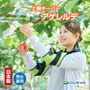 日本製 上腕キーパー サポーター 腕上げ アシスト アゲレルデ ダイヤ工業 溶接 天井施工 果樹棚の剪定 摘粒 花切り 収穫 果樹農家 ガーデニング フリーサイ...