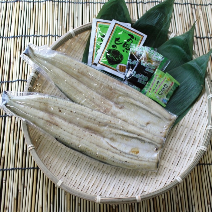 【2人前】 うなぎ 国産 白焼き 2尾 計220g 冷凍 浜名湖産 鰻 ウナギ 白焼 土用の丑の日 夏バテ予防 スタミナ食品 ギフト お中元 お歳暮 おすすめ