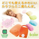 【在庫一掃クリアランス特価】寒さ対策 冷え性 安眠 あったかカラフル湯たんぽ
