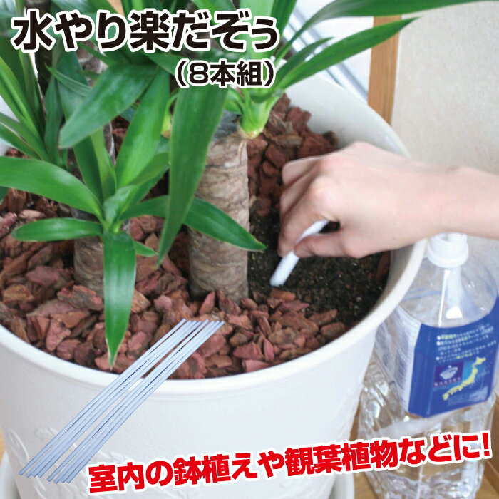 ペットボトルを再利用して自動で水やり 水やり楽だぞう 8本組 ペットボトル キャップ 自動給水 自動水やり 鉢植え 水やり 自動 送料無料/新品 ペットボトルを再利用して自動で水やり 水やり楽だぞう 8本組 ペットボトル キャップ 自動給水 自動水やり 鉢植え 水やり 自動 送料無料/新品