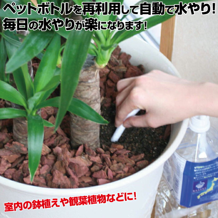 水やり楽だぞう(8本組)ペットボトルキャップ自動給水自動水やり送料無料ポイント消化